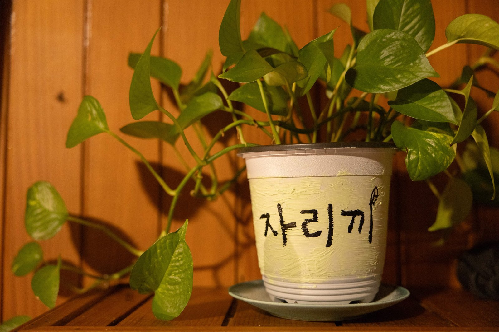 실내